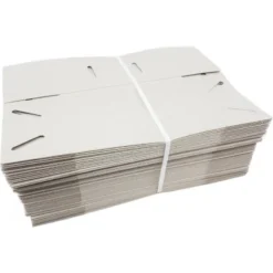 50 Boites En Carton Pour Le Transport De Petits Oiseaux