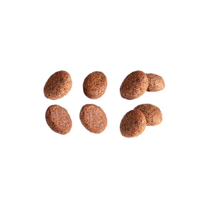 Adult Derma+ 10kg - Euro Premium 4 Adult Derma+ 10kg - Euro Premium – Image 2