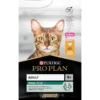 Adult Renal Plus - Riche En Poulet Et En Riz 3kg - Pro Plan -Promos Vivariux Magasin adult renal plus riche en poulet et en riz 3kg pro plan 12398591 purina adult renal plus riche en poulet et en riz 3kg pro plan