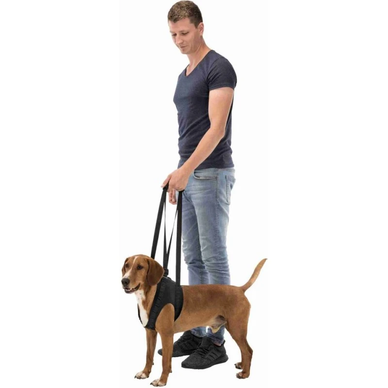 Aide à La Marche L (jusqu'à 35kg) 65-75cm - Trixie 4 Aide à La Marche L (jusqu'à 35kg) 65-75cm - Trixie – Image 2