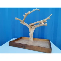 Aire De Jeux En Bois De Java Avec Socle - Medium - Back Zoo Nature -Promos Vivariux Magasin aire de jeux en bois de java avec socle medium back zoo nature zf1113 back zoo nature aire de jeux en bois de java avec socle et 2