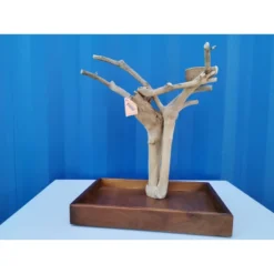 Aire De Jeux En Bois De Java Avec Socle - Small - Back Zoo Nature 13 Aire De Jeux En Bois De Java Avec Socle - Small - Back Zoo Nature -Promos Vivariux Magasin aire de jeux en bois de java avec socle small back zoo nature zf1112 back zoo nature aire de jeux en bois de java avec socle et 1 3