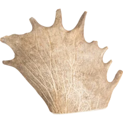 All Nature Bois De Daim L/221-300gr - Jack And Vanilla