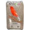Alpiste Ou Millet Plat 20kg - Ornibird -Promos Vivariux Magasin alpiste ou millet plat 20kg ornibird 700135 private label ornibird lalpiste est une graminee plante annuelle pouvant atteindre 1