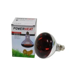 Ampoule Infrarouge R125 250W Rouge - Powerheat