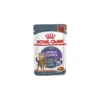Appetite Control Care 12x85gr - Royal Canin