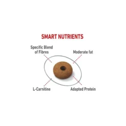 Appetite Control Care 2kg - Royal Canin -Promos Vivariux Magasin appetite control care 2kg royal canin 1253256 royal canin aliment complet et equilibre pour chats adultes recommande pour aider 1 1