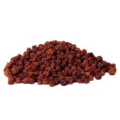 Baie De Sorbier Des Oiseleurs Au Kg - Ornibird -Promos Vivariux Magasin baie de sorbier des oiseleurs au kg ornibird 103041250 kg grizo baie du sorbier en fruit seche dont les becs crochus indigenes e 2