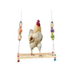 Balançoire Pour Poules En Forme D’échelle 40x50cm - Benelux