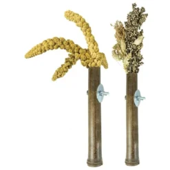 Bambou Grass Keeper +/-20cm - Back Zoo Nature -Promos Vivariux Magasin bambou grass keeper 20cm back zoo nature zf1368 back zoo nature le porte millet en bambou back zoo nature est un support naturel 2