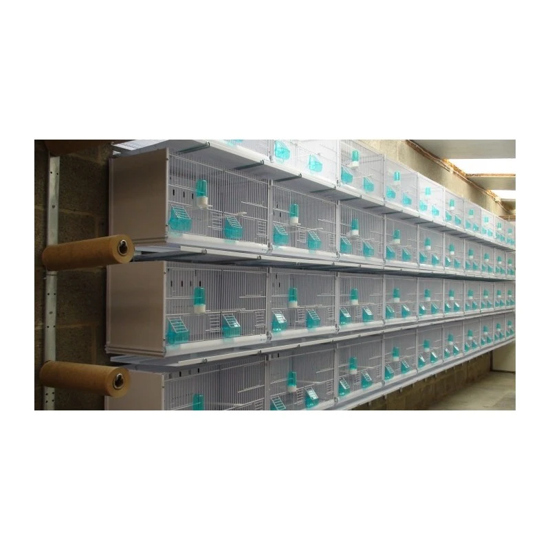 Batterie De 12 Cages 64x30x34 Modèle Champion- New Canariz 22 Batterie De 12 Cages 64x30x34 Modèle Champion- New Canariz – Image 20