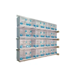 Batterie De 12 Cages 64x30x34 Modèle Champion- New Canariz