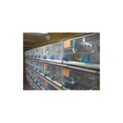 Batterie De 12 Cages 64x30x34 Modèle Champion- New Canariz 27 Batterie De 12 Cages 64x30x34 Modèle Champion- New Canariz -Promos Vivariux Magasin batterie de 12 cages 64x30x34 modele champion new canariz 3000 new canariz livree avec un systeme de rouleaux de papier comme fo 5