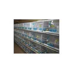 Batterie De 12 Cages 64x30x34 Modèle Champion- New Canariz 30 Batterie De 12 Cages 64x30x34 Modèle Champion- New Canariz -Promos Vivariux Magasin batterie de 12 cages 64x30x34 modele champion new canariz 3000 new canariz livree avec un systeme de rouleaux de papier comme fo 8