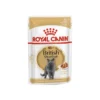 British Shorthair 12x85gr - Royal Canin -Promos Vivariux Magasin british shorthair 12x85gr royal canin 1259858 12x royal canin aliment complet pour chats special chats adultes british shorthair