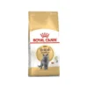 British Shorthair Adult 4kg - Royal Canin -Promos Vivariux Magasin british shorthair adult 4kg royal canin 1250923 royal canin aliment complet et equilibre pour chats special chats adultes britis
