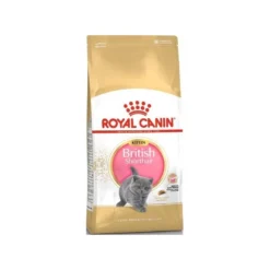 British Shorthair Kitten 10kg - Royal Canin