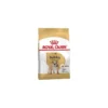 Bulldog Adult 3kg - Royal Canin -Promos Vivariux Magasin bulldog adult 3kg royal canin 1239091 royal canin aliment completes pour bouledogue anglais adulte plus de 12 mois le bouledogue
