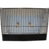 Cage Exposition Caille Noir En PVC -Promos Vivariux Magasin cage exposition caille noir en pvc 87212611 ost belgium cage dexposition pour caille avec facade noire entierement en plastique