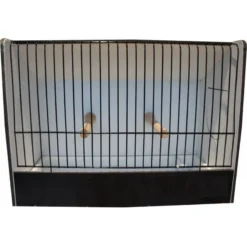 Cage Exposition Caille Noir En PVC
