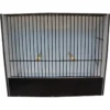Cage Exposition Indigène Noir 15 Cm En PVC 2 Cage Exposition Indigène Noir 15 Cm En PVC -Promos Vivariux Magasin cage exposition indigene noir 15 cm en pvc 87212411 ost belgium cage dexposition pour indigene avec facade noire entierement en