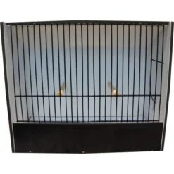 Cage Exposition Indigène Noir 15 Cm En PVC