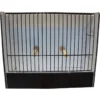 Cage Exposition Perruches Noir En PVC -Promos Vivariux Magasin cage exposition perruches noir en pvc 87212311 ost belgium cage dexposition pour perruches avec facade noire entierement en plas