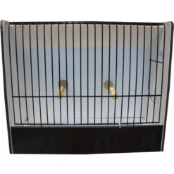Cage Exposition Perruches Noir En PVC