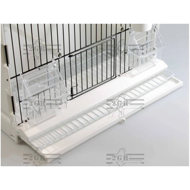 Cage Exposition Plastique 36x17x30cm - 2G-R 5 Cage Exposition Plastique 36x17x30cm - 2G-R – Image 3