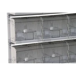 Cage Exposition Plastique 36x17x30cm - 2G-R 11 Cage Exposition Plastique 36x17x30cm - 2G-R -Promos Vivariux Magasin cage exposition plastique 36x17x30cm 2g r art 315fn3 2g r cage de preparation avec facade noire 1 porte centrale avec ressort et 3