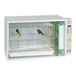 Cage Hôpital Ou Infirmerie Pour Oiseaux - S.T.A Soluzioni