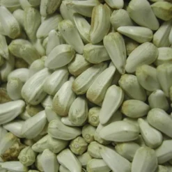 Cardi Extra 15kg - Duvo -Promos Vivariux Magasin cardi extra 15kg duvo 446 duvo cardi extra 15kg duvo 1