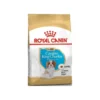 Cavalier King Charles Puppy 1,5kg - Royal Canin -Promos Vivariux Magasin cavalier king charles puppy 15kg royal canin 1238037 royal canin aliment complet pour chiot cavalier king charles jusqua 12 mois