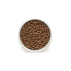 Chat Indoor - Agneau Et Dinde 2kg - Grandorf 5 Chat Indoor - Agneau Et Dinde 2kg - Grandorf -Promos Vivariux Magasin chat indoor agneau et dinde 2kg grandorf gdcd0202 grandorf pour les chats avec une activite normale dun an et plusune quantite m 1