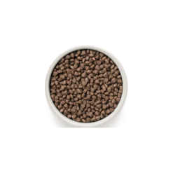 Chat Sterilized - Lapin Et Dinde 2kg - Grandorf 5 Chat Sterilized - Lapin Et Dinde 2kg - Grandorf -Promos Vivariux Magasin chat sterilized lapin et dinde 2kg grandorf gdcd0302 grandorf pour les chats sterilises ou ages dun an et plusune teneur reduite 1