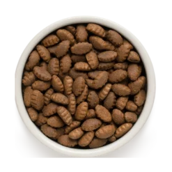 Chien Adult Maxi Races - Agneau Et Dinde 10kg - Grandorf 5 Chien Adult Maxi Races - Agneau Et Dinde 10kg - Grandorf -Promos Vivariux Magasin chien adult maxi races agneau et dinde 10kg grandorf gddd0610 grandorf pour les chiens de grande race dun an et plusles grosses 1 1