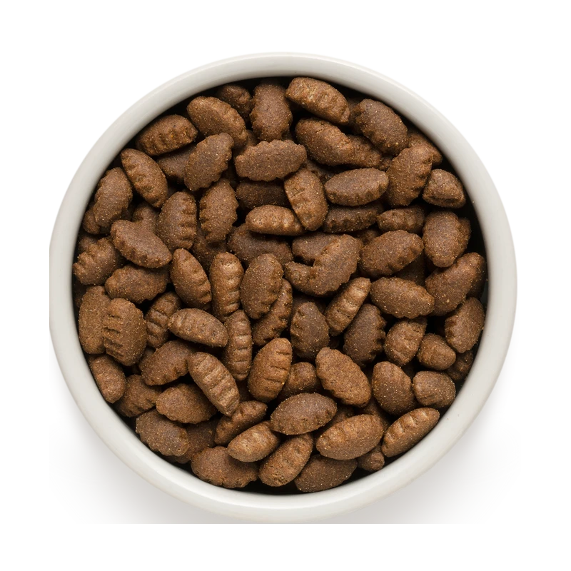 Chien Adult Maxi Races - Agneau Et Dinde 10kg - Grandorf 4 Chien Adult Maxi Races - Agneau Et Dinde 10kg - Grandorf – Image 2