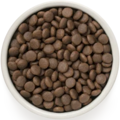 Chien Adult Medium & Maxi Races - 4 Viandes 10kg - Grandorf 5 Chien Adult Medium & Maxi Races - 4 Viandes 10kg - Grandorf -Promos Vivariux Magasin chien adult medium maxi races 4 viandes 10kg grandorf gddd1110 grandorf pour les chiens de toutes races dun an ou plusideal pour 1