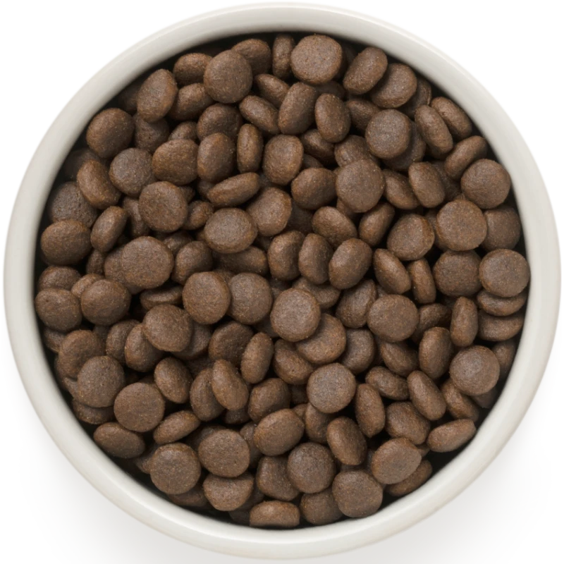 Chien Adult Medium & Maxi Races - 4 Viandes 10kg - Grandorf 4 Chien Adult Medium & Maxi Races - 4 Viandes 10kg - Grandorf – Image 2