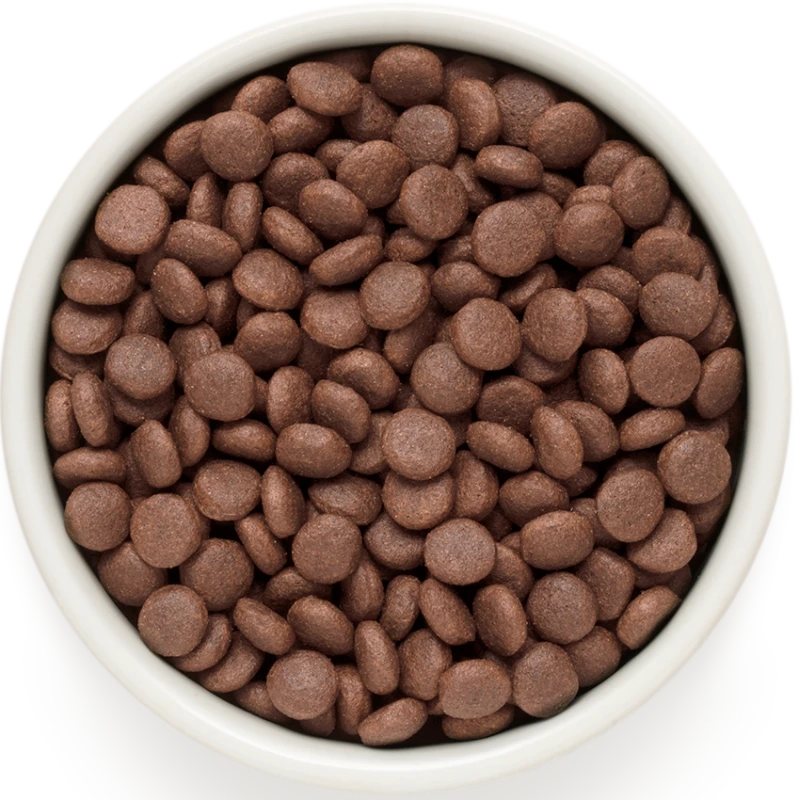 Chien Adult Medium & Maxi Races - Agneau Et Dinde 3kg - Grandorf 4 Chien Adult Medium & Maxi Races - Agneau Et Dinde 3kg - Grandorf – Image 2