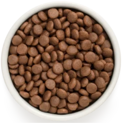 Chien Adult Medium & Maxi Races - Canard Et Dinde 1kg - Grandorf -Promos Vivariux Magasin chien adult medium maxi races canard et dinde 1kg grandorf gddd0801 grandorf pour les chiens de grande race dun an et plusune ex 1