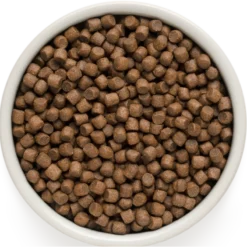 Chien Adult Mini Races - Agneau Et Dinde 3kg - Grandorf -Promos Vivariux Magasin chien adult mini races agneau et dinde 3kg grandorf gddd0303 grandorf pour les chiens de toutes races dun an ou plusla teneur el 1