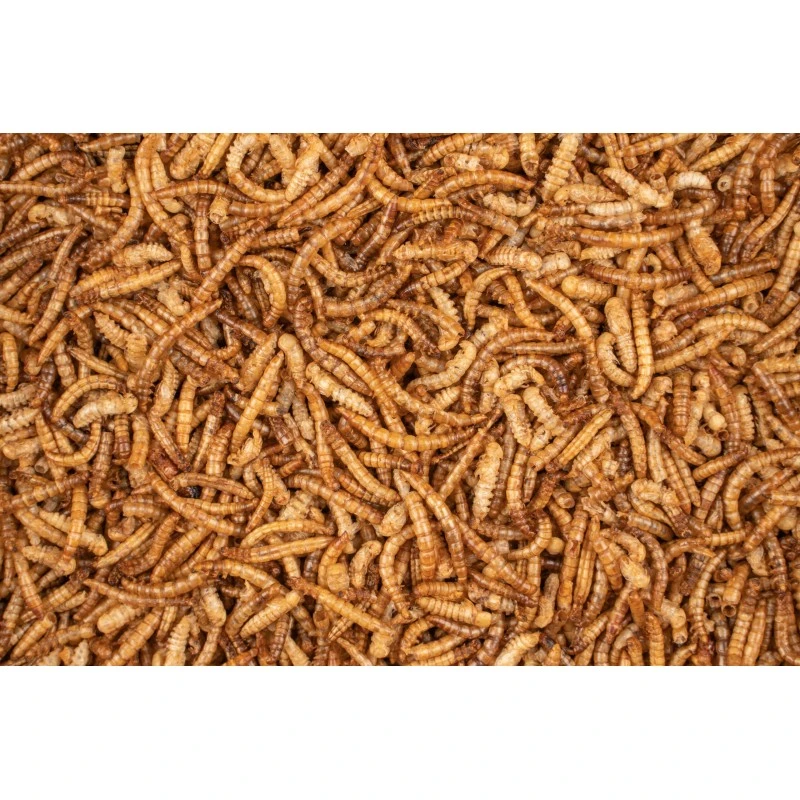 Chix Vers De Farine 500gr - Deli Nature 4 Chix Vers De Farine 500gr - Deli Nature – Image 2