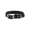 Collier Basic Confort Noir 40mm 70cm - Wouapy