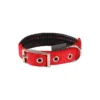Collier Basic Confort Rouge 40mm 70cm - Wouapy -Promos Vivariux Magasin collier basic confort rouge 40mm 70cm wouapy 312548000 wouapy collier basic confort rouge 40mm 70cm wouapy
