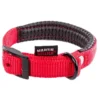 Collier Confort 25mm-65cm Rouge - Martin Sellier -Promos Vivariux Magasin collier confort 25mm 65cm rouge martin sellier ms121831 martin sellier