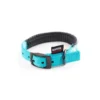 Collier Confort 25mm-65cm Turquoise - Martin Sellier -Promos Vivariux Magasin collier confort 25mm 65cm turquoise martin sellier ms121839 martin sellier