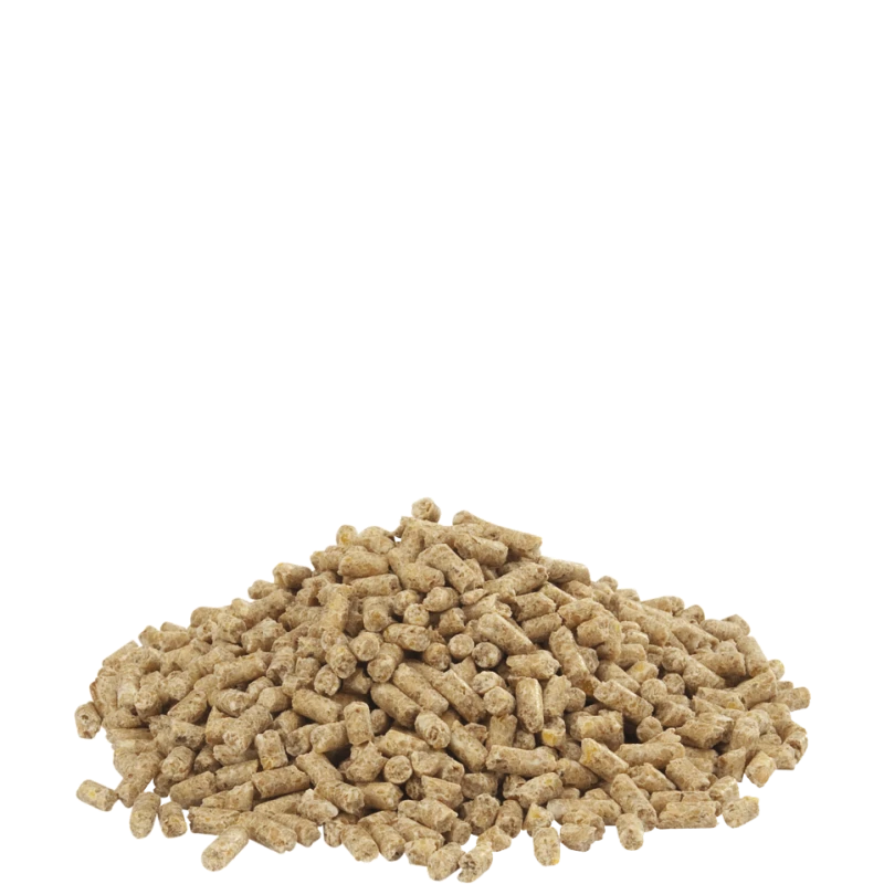 Country's Best DINDO 2.3 Pellet 20kg - Granulé De Croissance Dès 13ème Semaine Jusqu'à L'abattage 4 Country's Best DINDO 2.3 Pellet 20kg - Granulé De Croissance Dès 13ème Semaine Jusqu'à L'abattage – Image 2