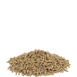 Country's Best SHOW 4 Pellet 20kg - Granulé (2mm) D'élevage Pendant La Ponte Et L'élevage -Promos Vivariux Magasin countrys best show 4 pellet 20kg granule 2mm delevage pendant la ponte et lelevage 451030 versele laga granule delevage 2 mm pou 1