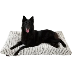 Coussin Snakeskin XS 58x45cm - Jack And Vanilla -Promos Vivariux Magasin coussin snakeskin xs 58x45cm jack and vanilla 41 0484 jack and vanilla 2